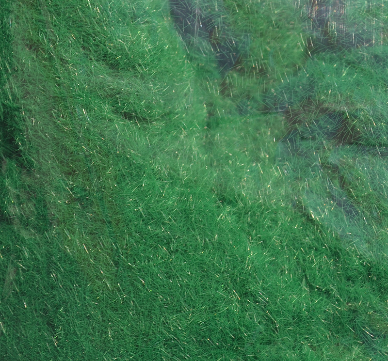 ������������ ����� ��� �������